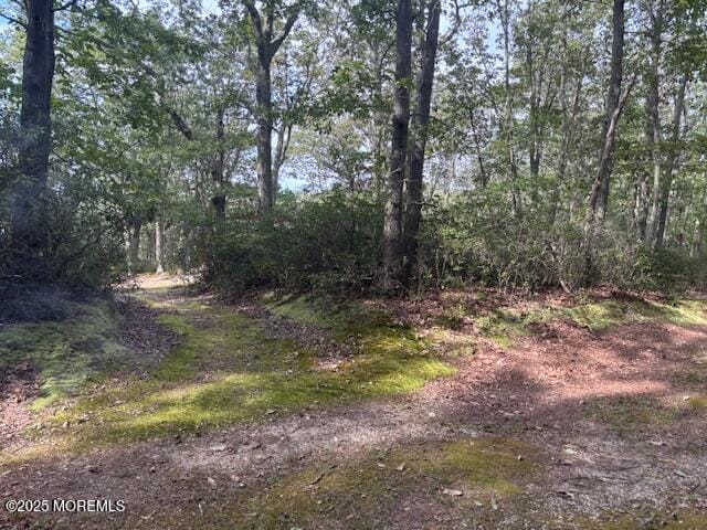 589 Genova Avenue, Jackson, NJ, 08527 image 12