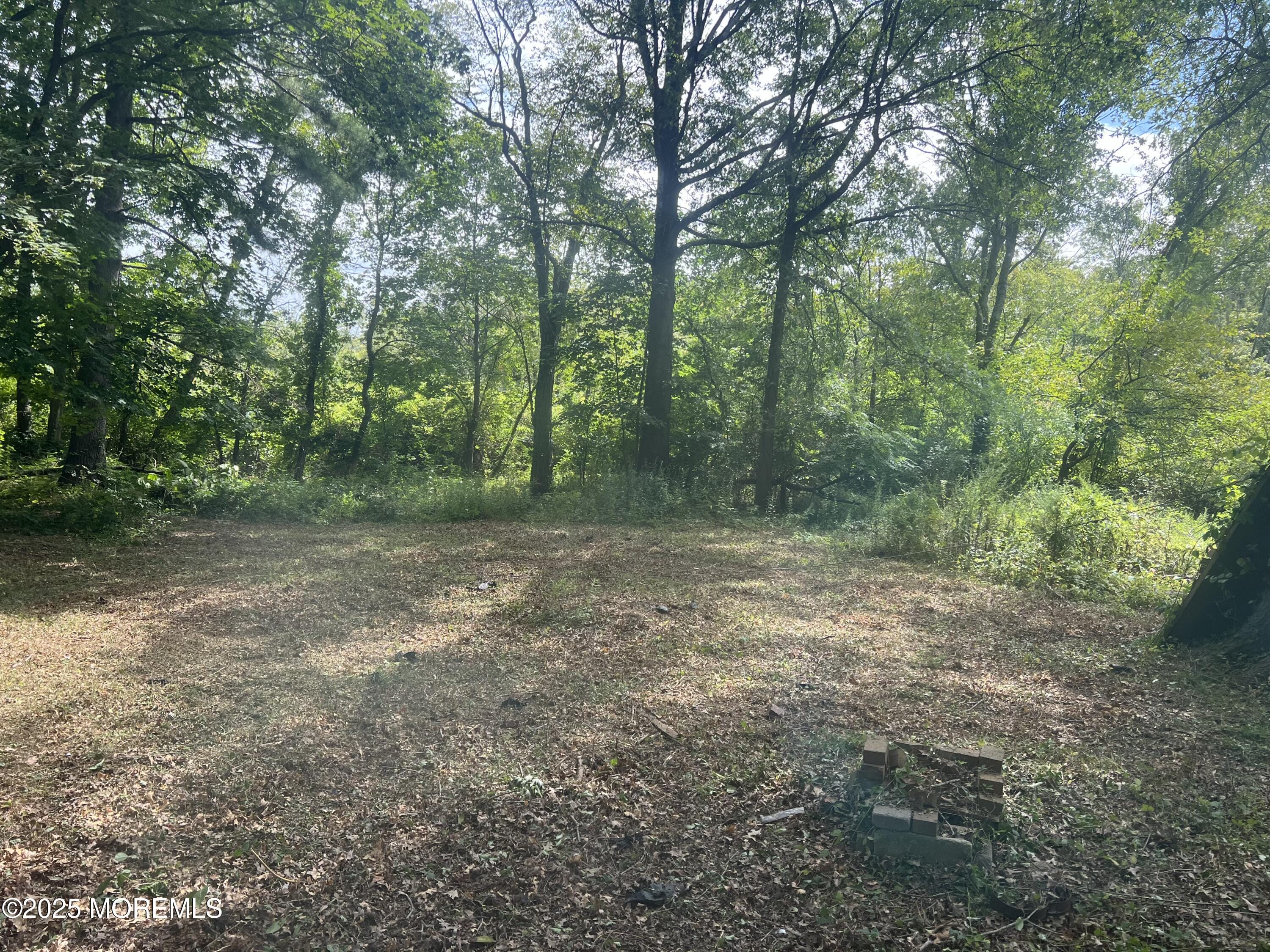 138 Disbrow Hill Road, Millstone, NJ, 08535 image 8