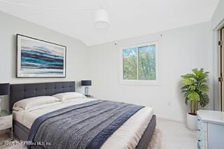 70 Ilyssa Way, Staten Island, NY, 10312 image 37