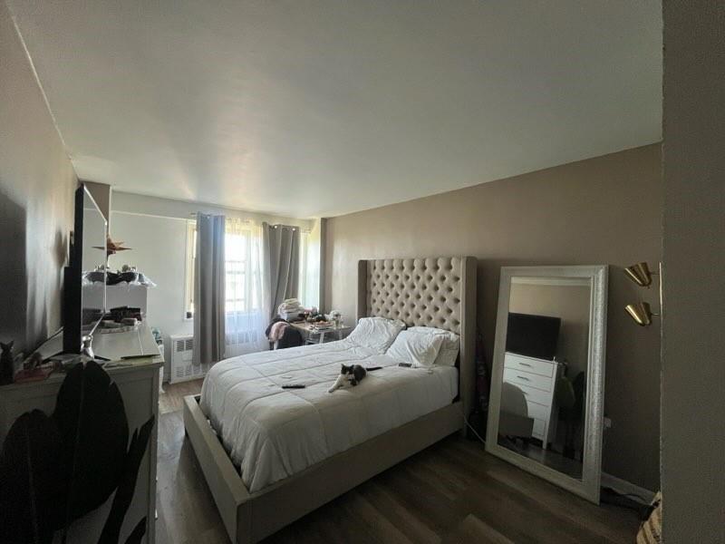 400 Cozine Avenue 9G, Brooklyn, New York, 11207 image 12