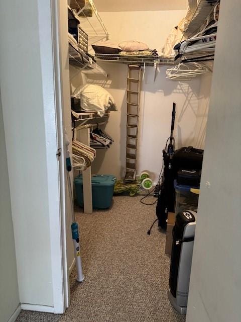 3171 Whitney Avenue 3F, Brooklyn, New York, 11229 image 14