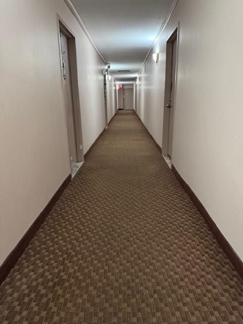 3171 Whitney Avenue 3F, Brooklyn, New York, 11229 image 6