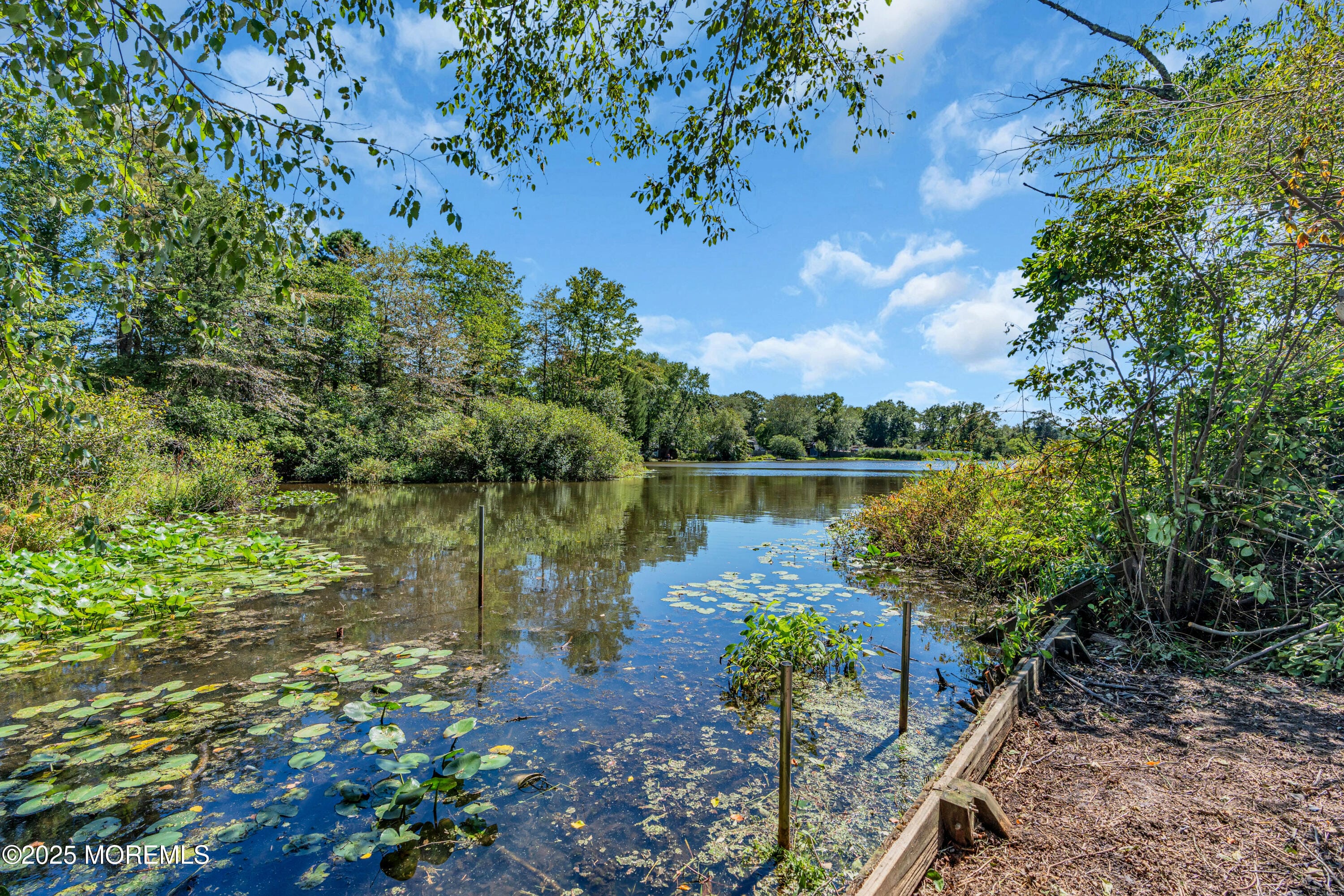 16 Bock Boulevard, Howell, NJ, 07731 image 12