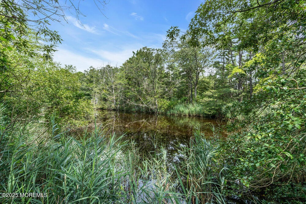 79 Saltspray Drive, Forked River, NJ, 08731 image 61