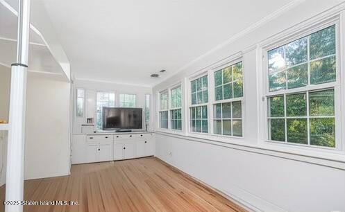 239 Douglas Road, Staten Island, NY, 10304 image 12