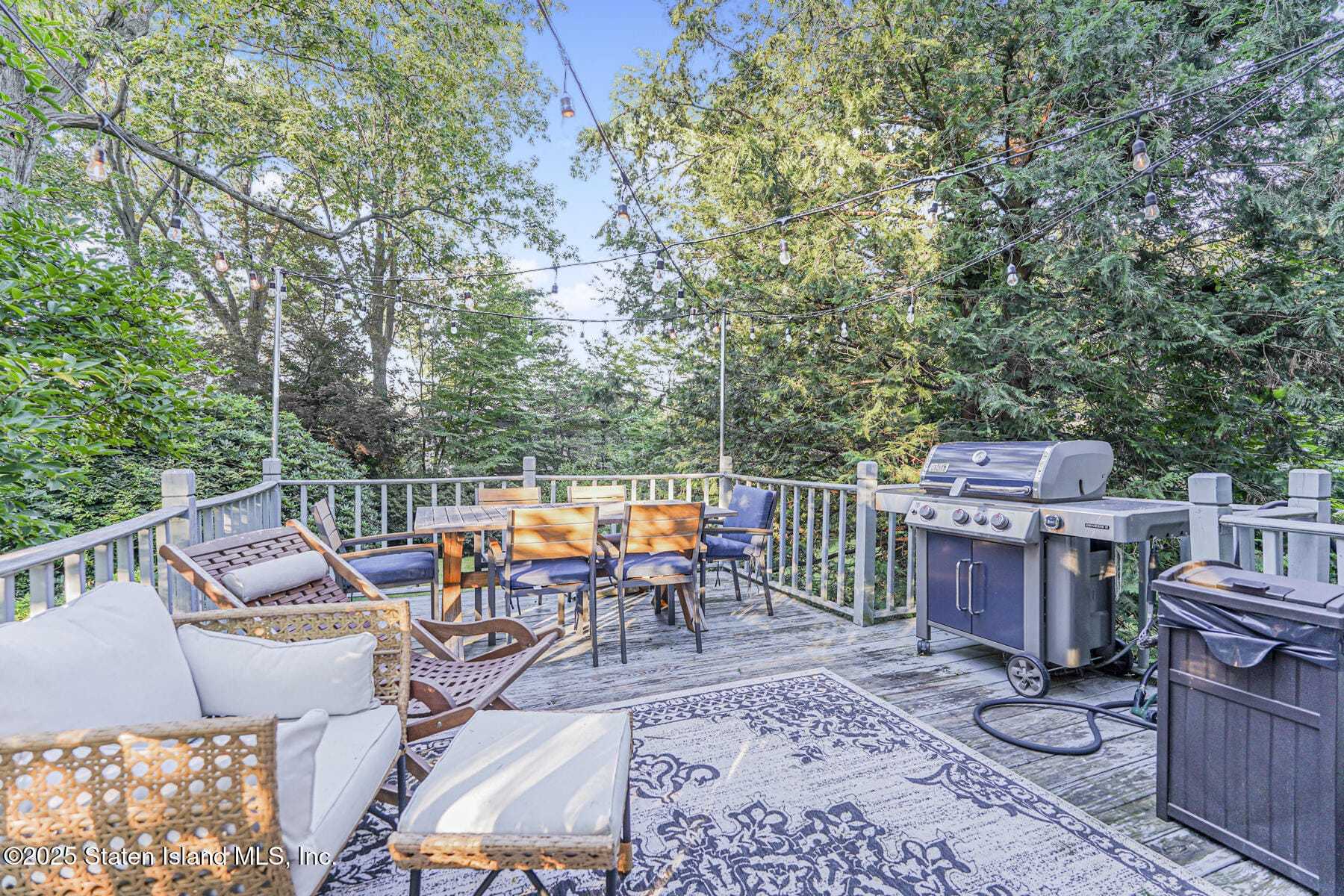 239 Douglas Road, Staten Island, NY, 10304 image 27