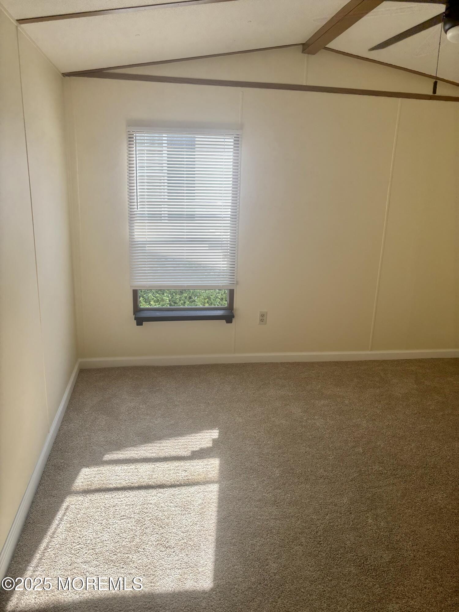 700 Atkins Avenue 16 Image 5