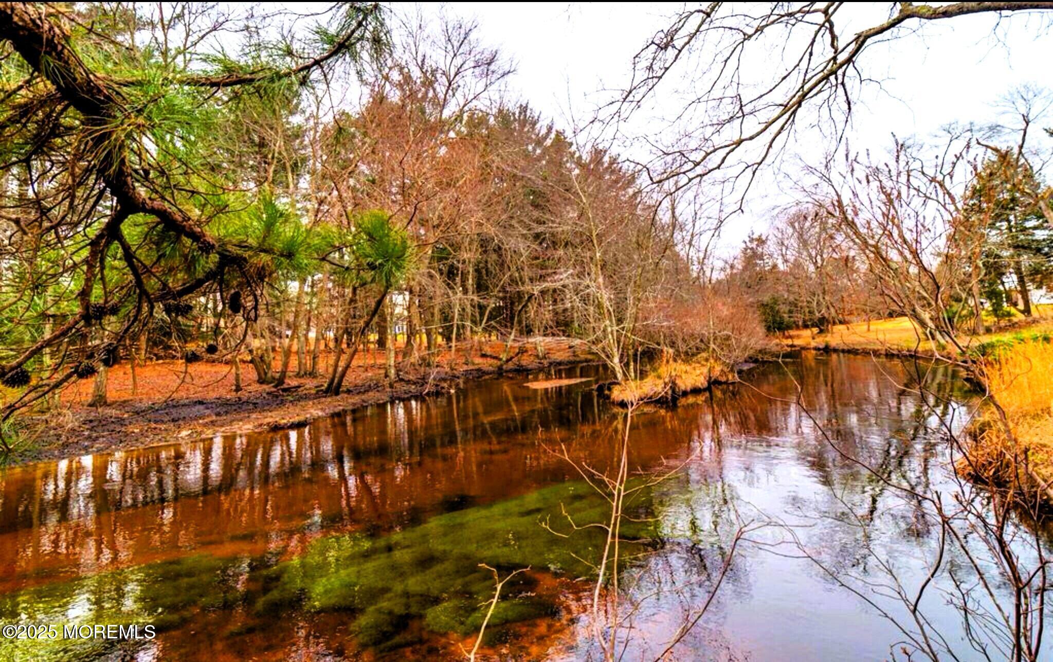 61 Charlotteville Drive, Toms River, NJ, 08757 image 28