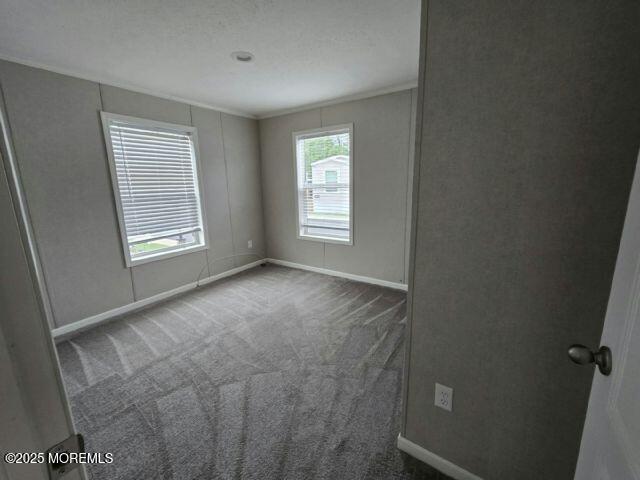 42 Randall Avenue Image 5