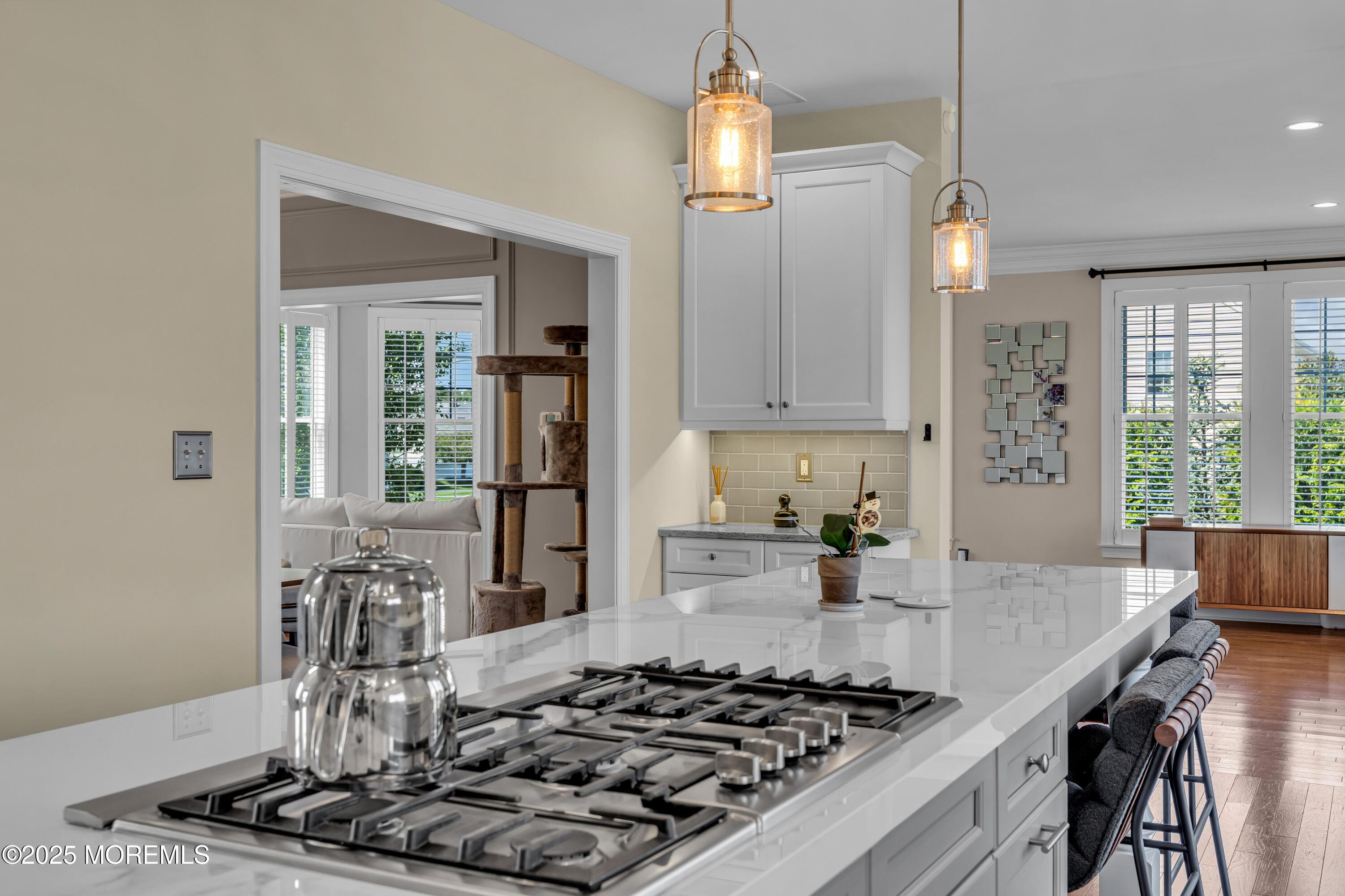 117 Joie Place, Brick, NJ, 08724 image 23