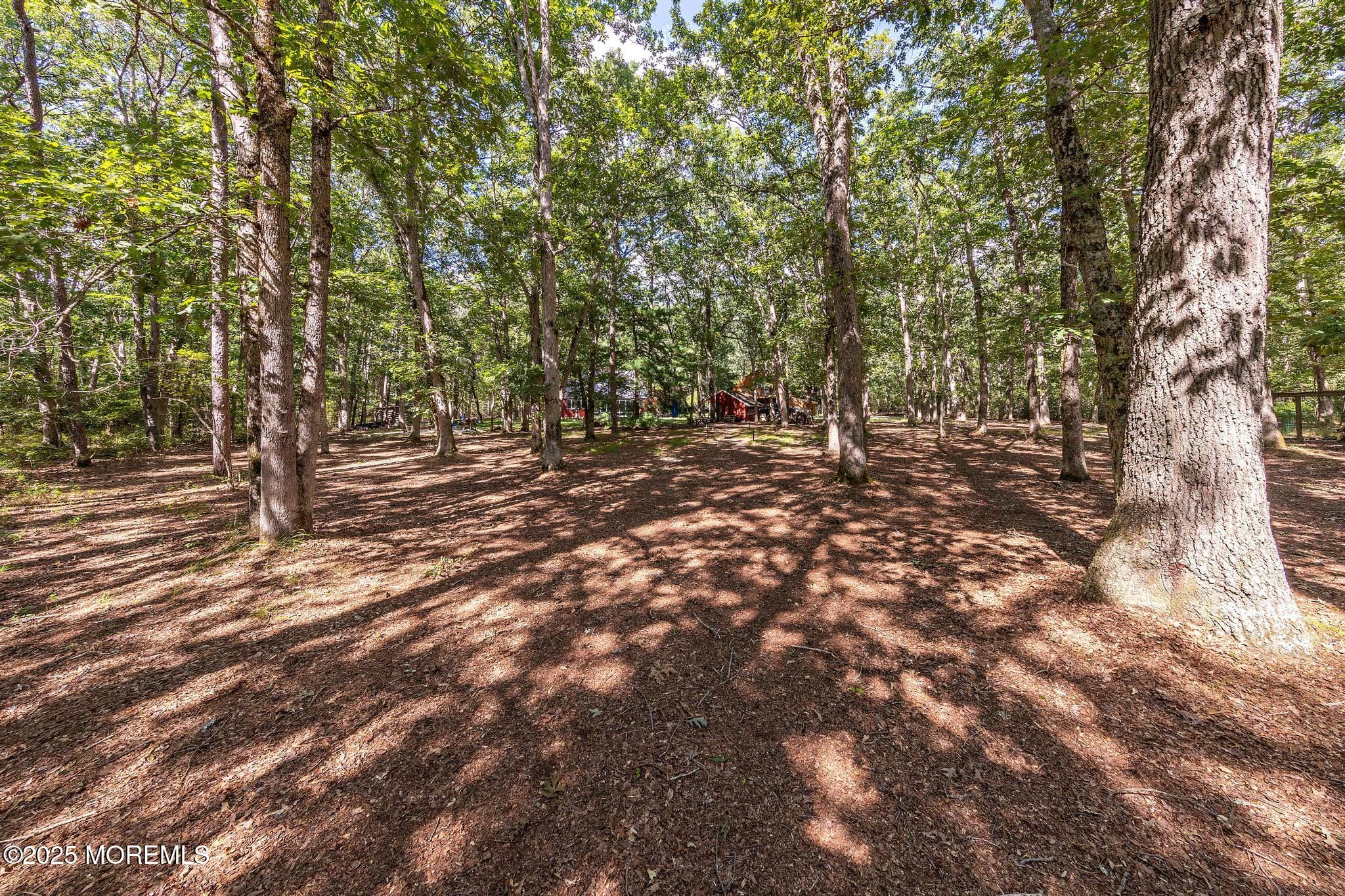 739 Nugentown Road, Little Egg Harbor, NJ, 08087 image 64