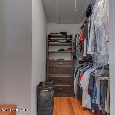 513 Mercer Avenue, Spring Lake, NJ, 07762 image 38