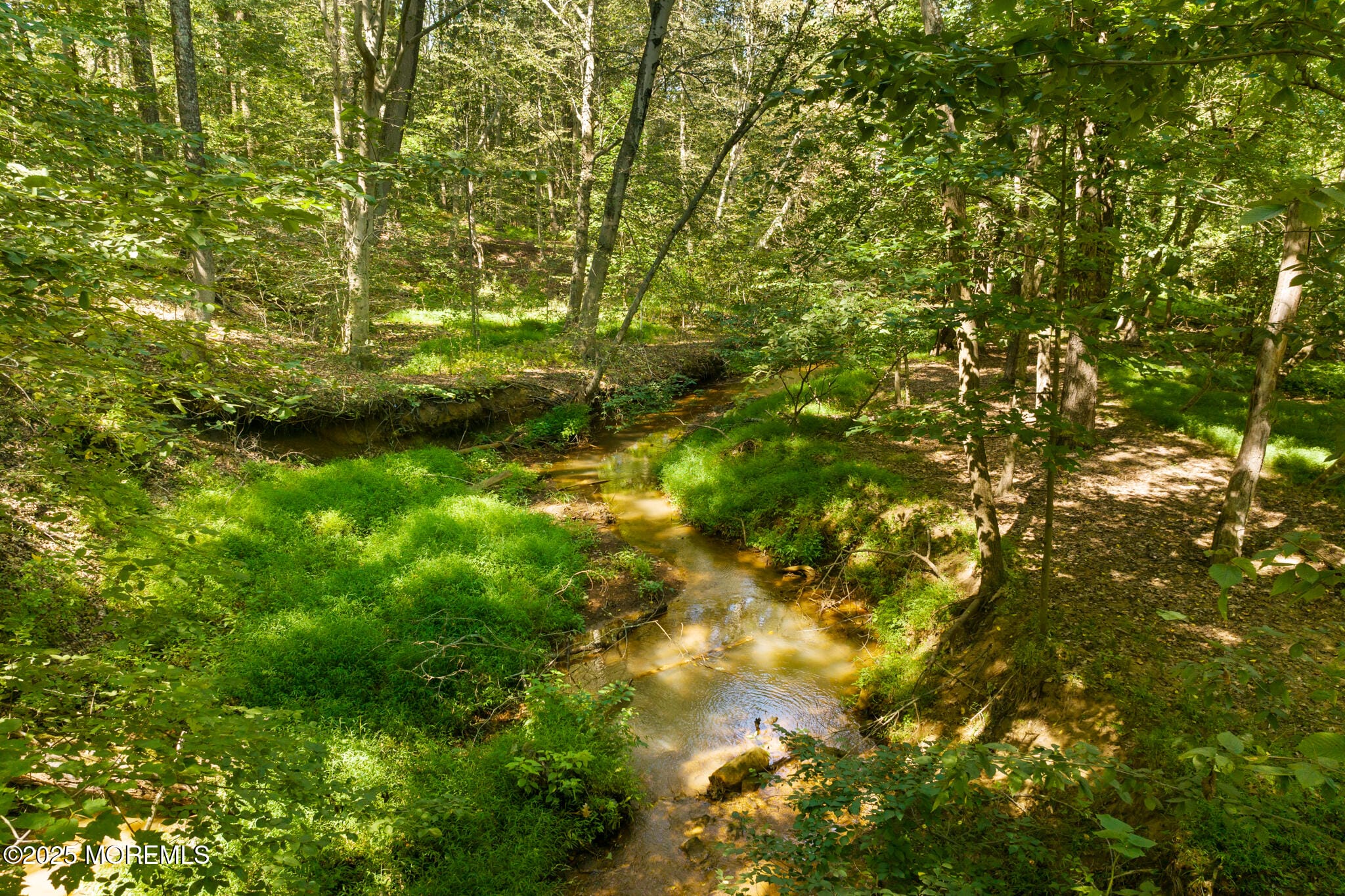 106 Holmes Mill Road, Cream Ridge, NJ, 08514 image 46