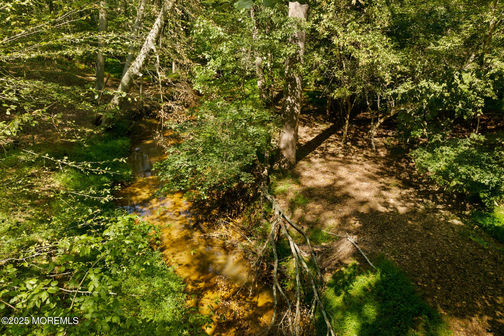 106 Holmes Mill Road, Cream Ridge, NJ, 08514 image 47