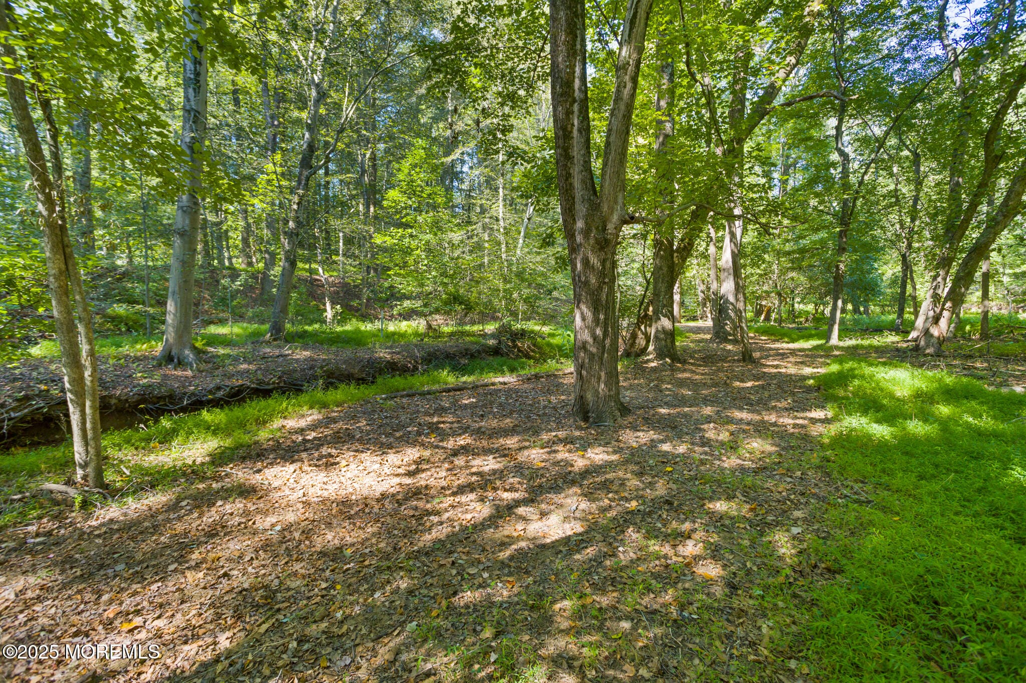106 Holmes Mill Road, Cream Ridge, NJ, 08514 image 48