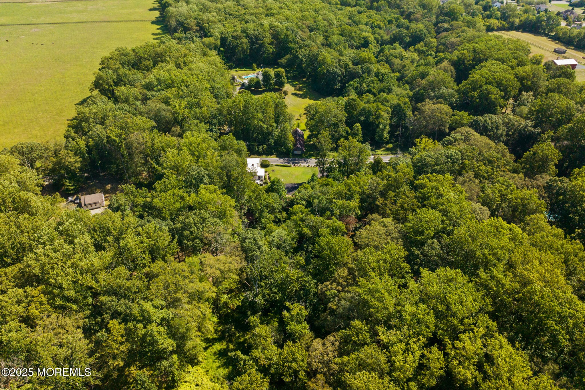 106 Holmes Mill Road, Cream Ridge, NJ, 08514 image 54
