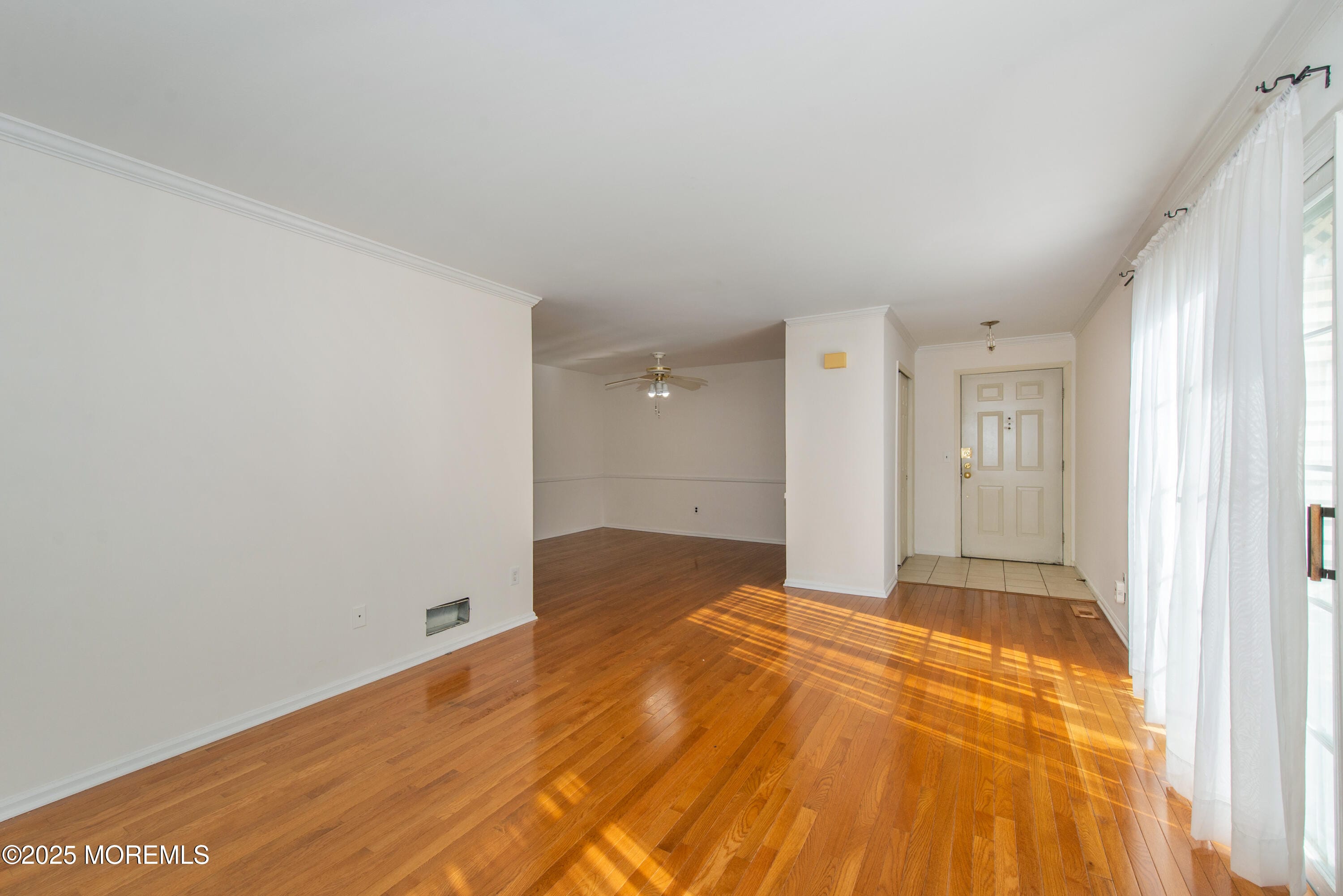 65 Jamestown Road Image 5