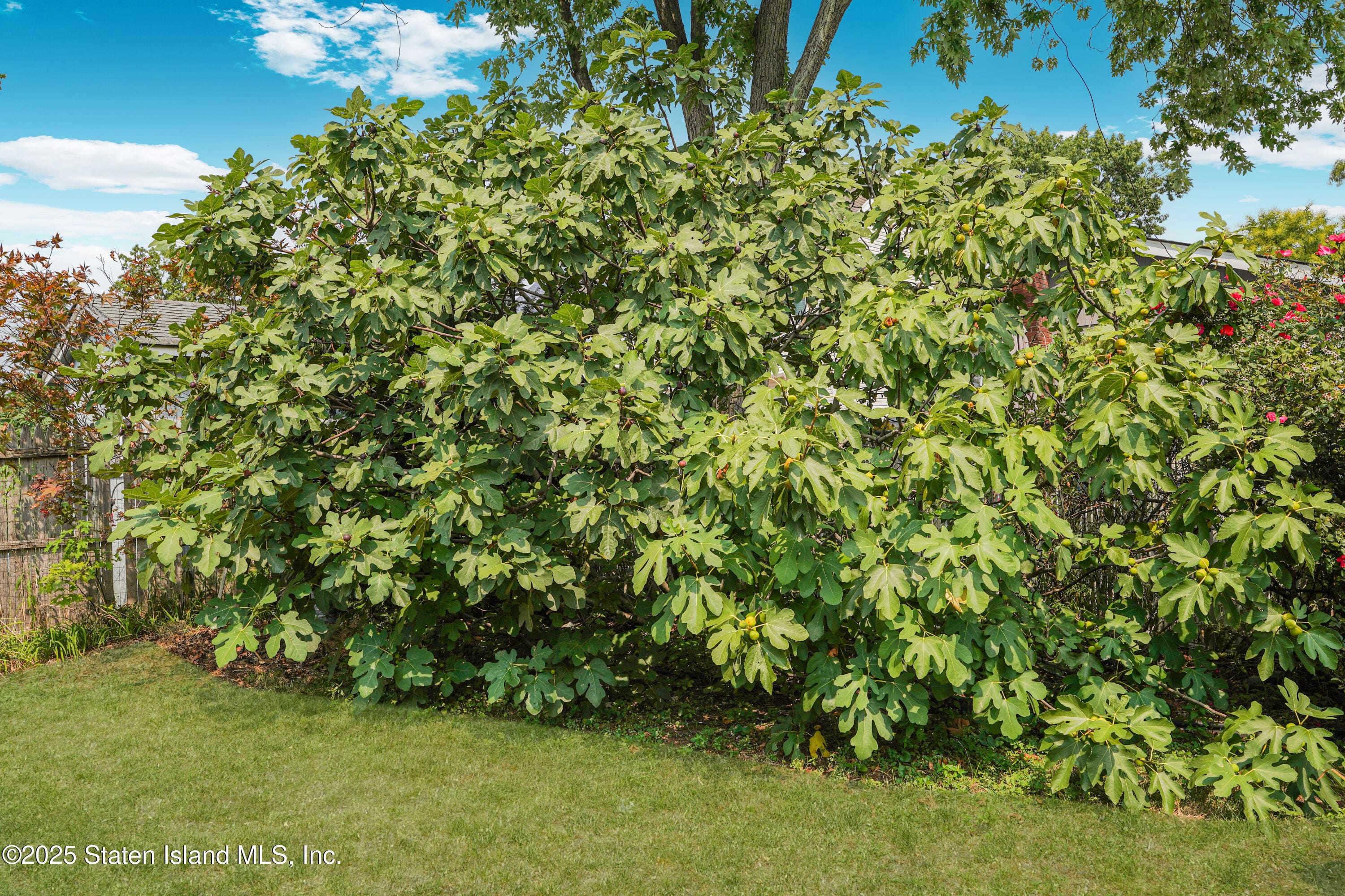 77 Penn Avenue, Staten Island, NY, 10306 image 31