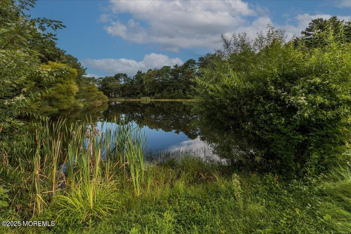 41 Stonybrook Road A, Whiting, NJ, 08759 image 44