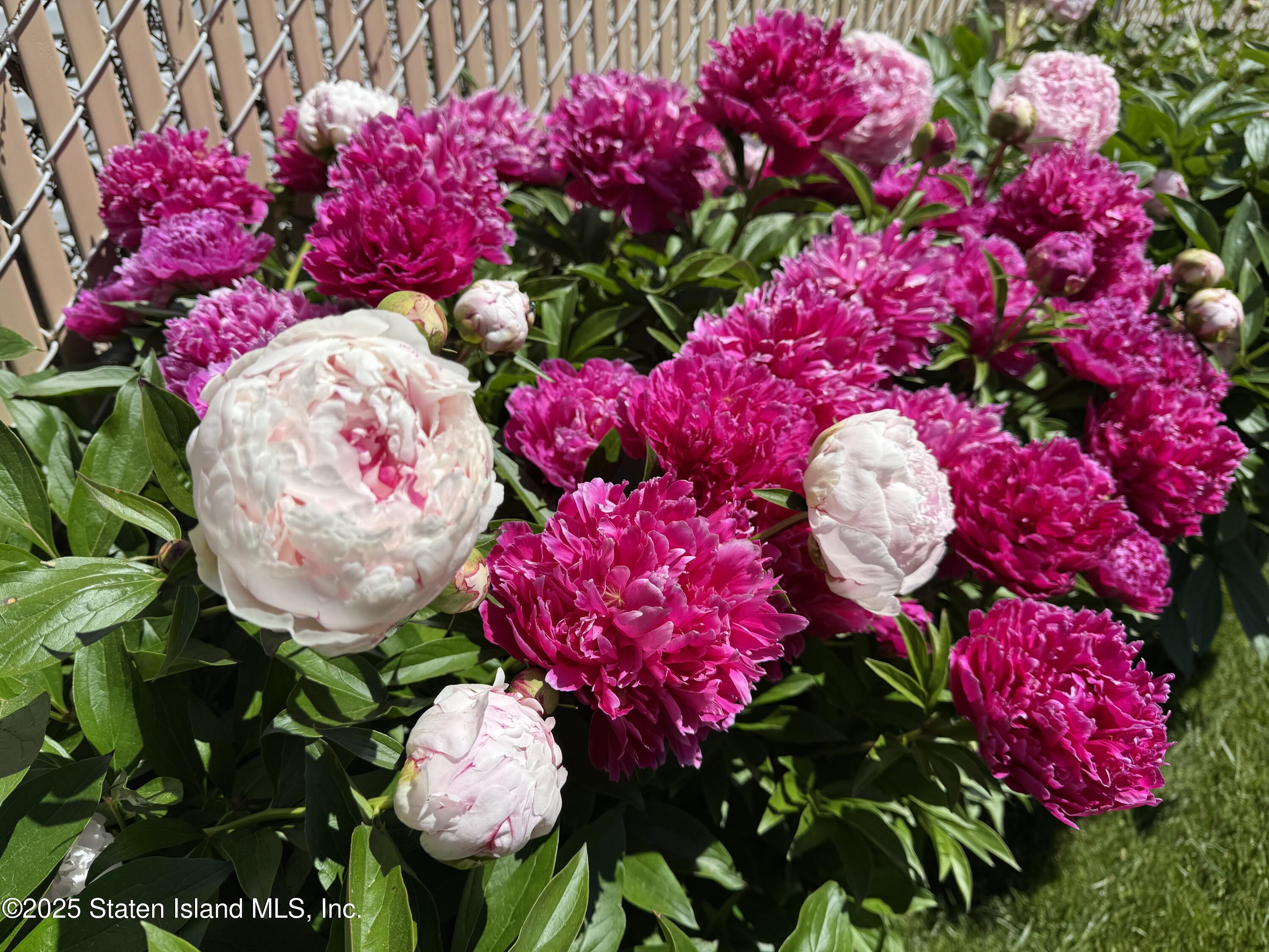 207 Martin Avenue, Staten Island, NY, 10314 image 30