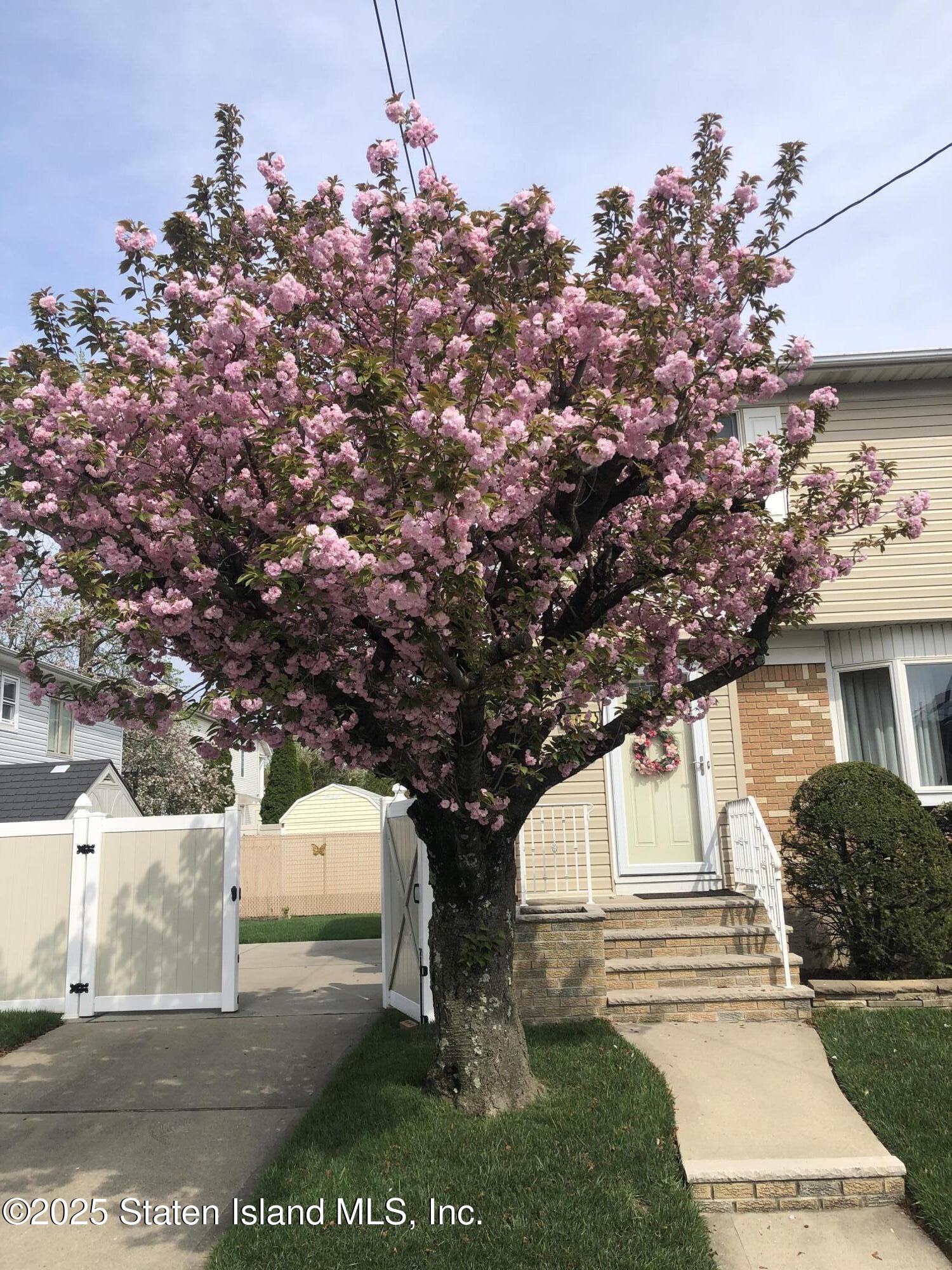 207 Martin Avenue Image 3