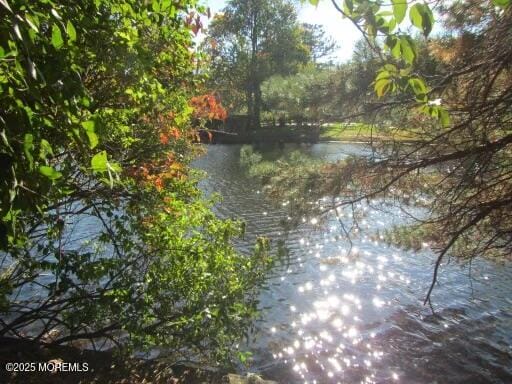 7 Buttonwood Drive, Fair Haven, NJ, 07704 image 29