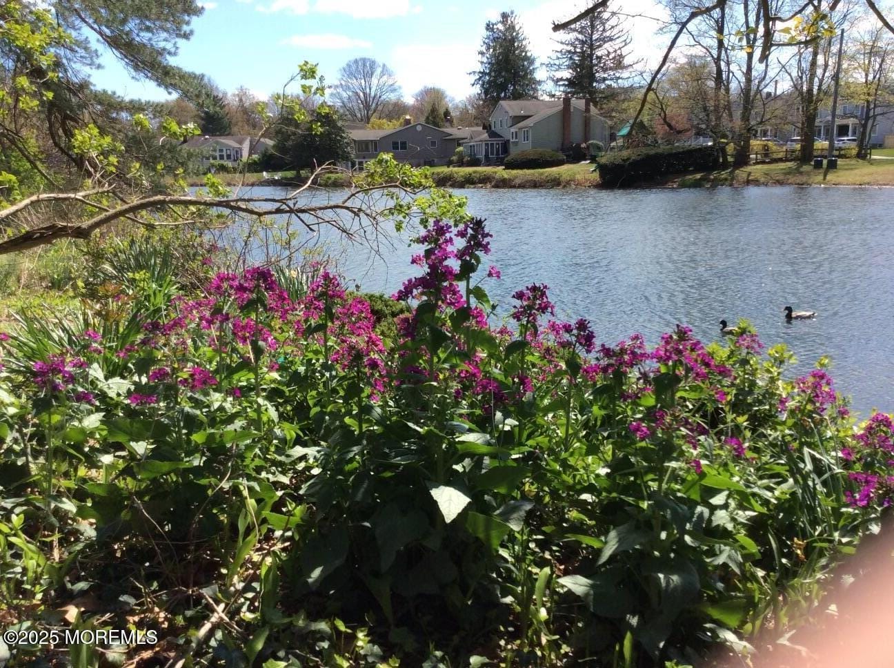 7 Buttonwood Drive, Fair Haven, NJ, 07704 image 30