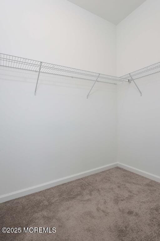 119 Celebration Boulevard 919, Brick, NJ, 08723 image 28