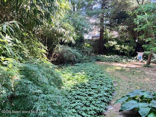 125 Tysen Street, Staten Island, NY, 10301 image 31