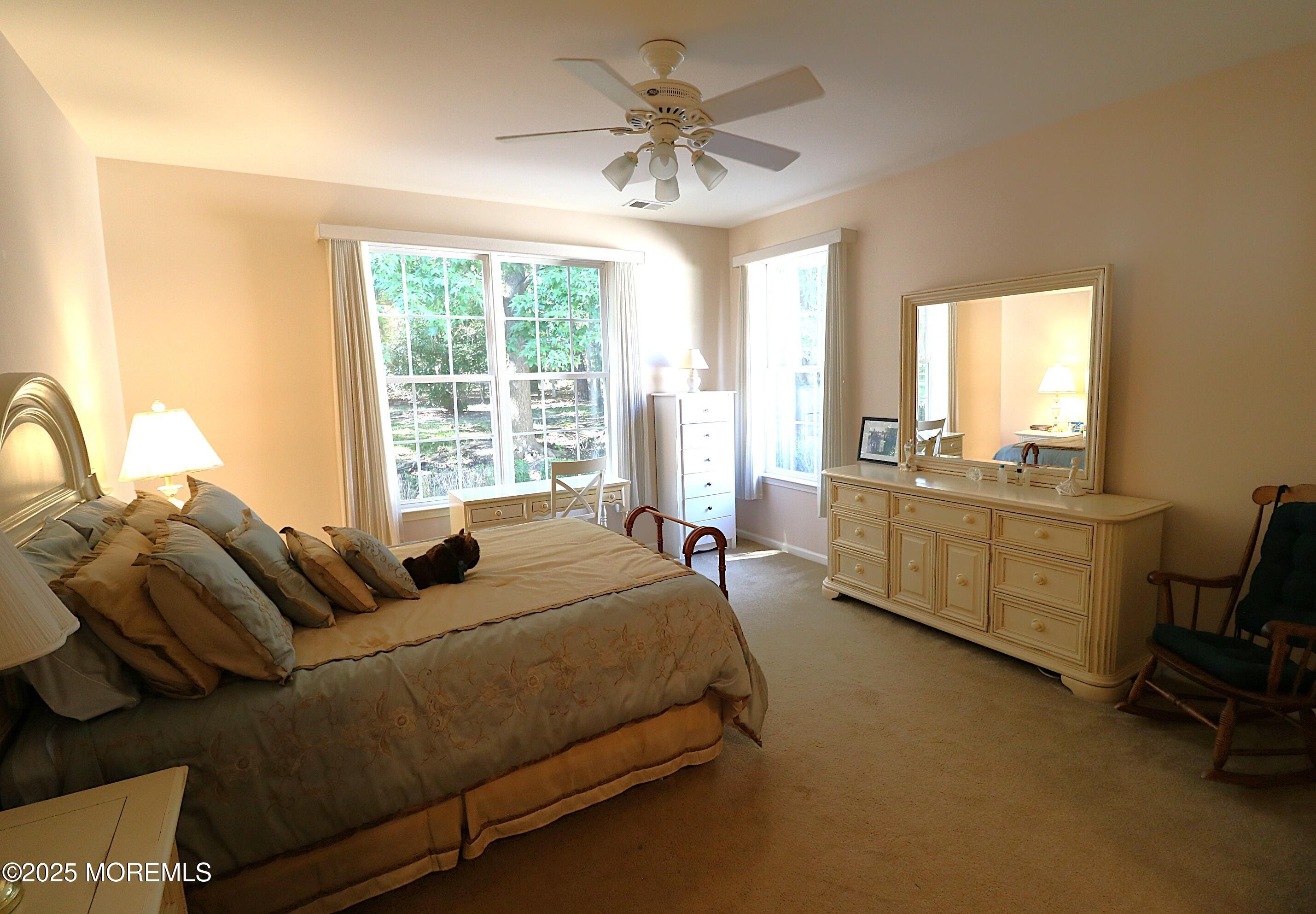 8 Whitecaps Terr Terrace, Barnegat, NJ, 08005 image 27