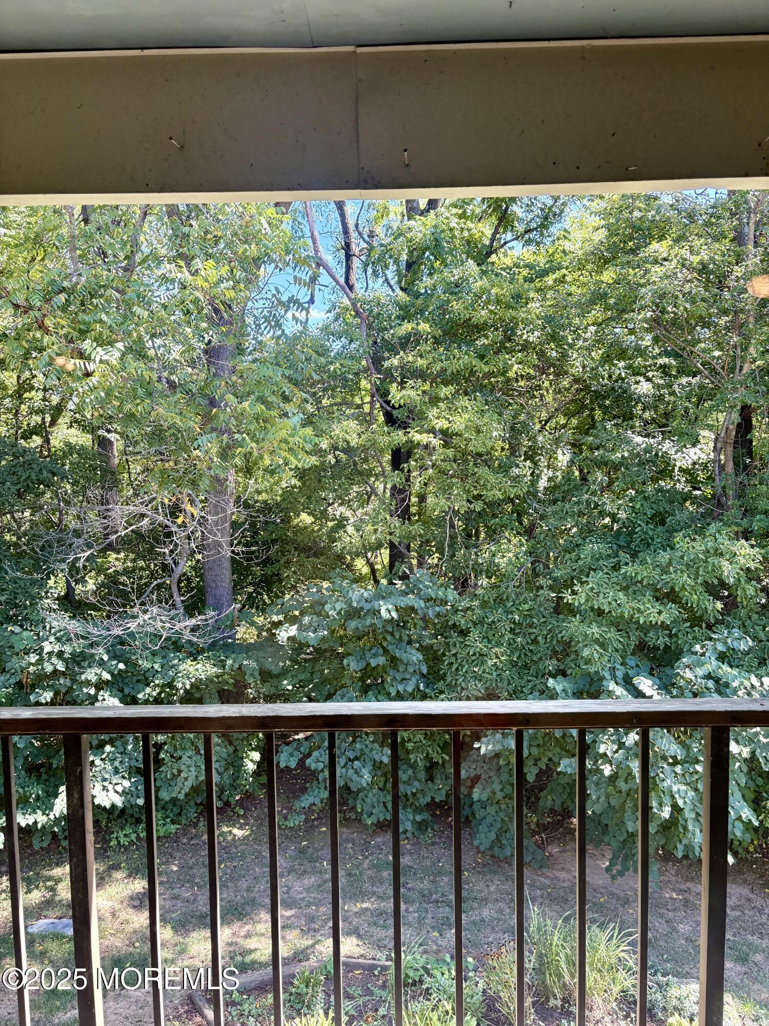 6 Claridge Court 4, Freehold, NJ, 07728 image 16