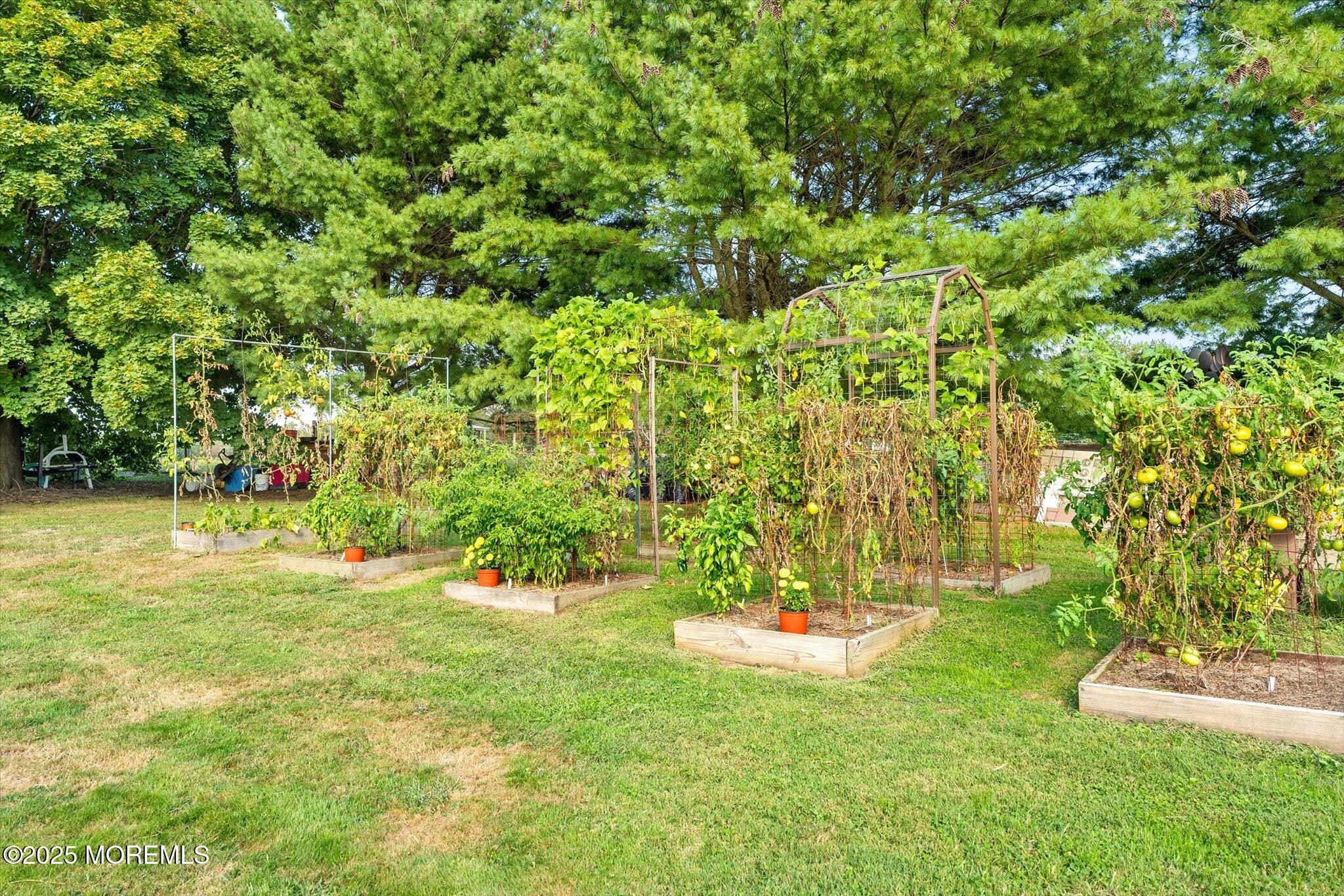 537 Chesterfield Arneytown Road, Chesterfield, NJ, 08515 image 19