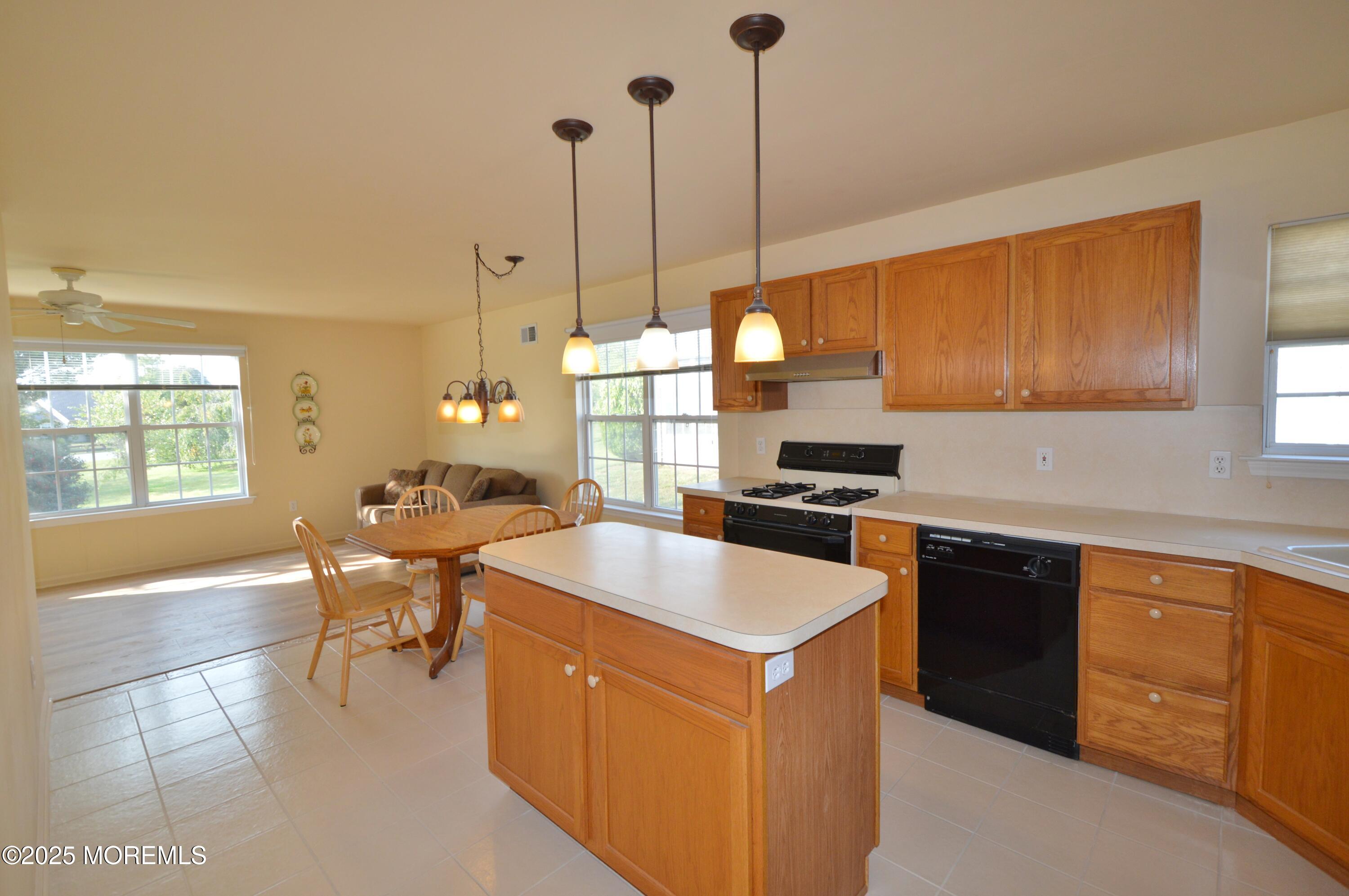 2602 Meadow Lake Drive, Toms River, NJ, 08755 image 12