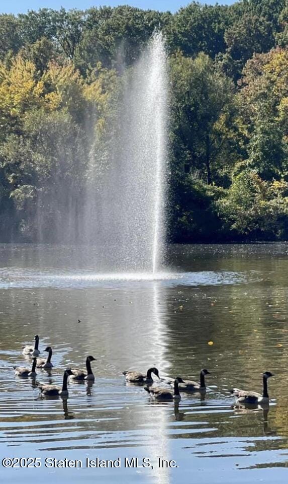 1100 Clove Road 3c, Staten Island, NY, 10301 image 43