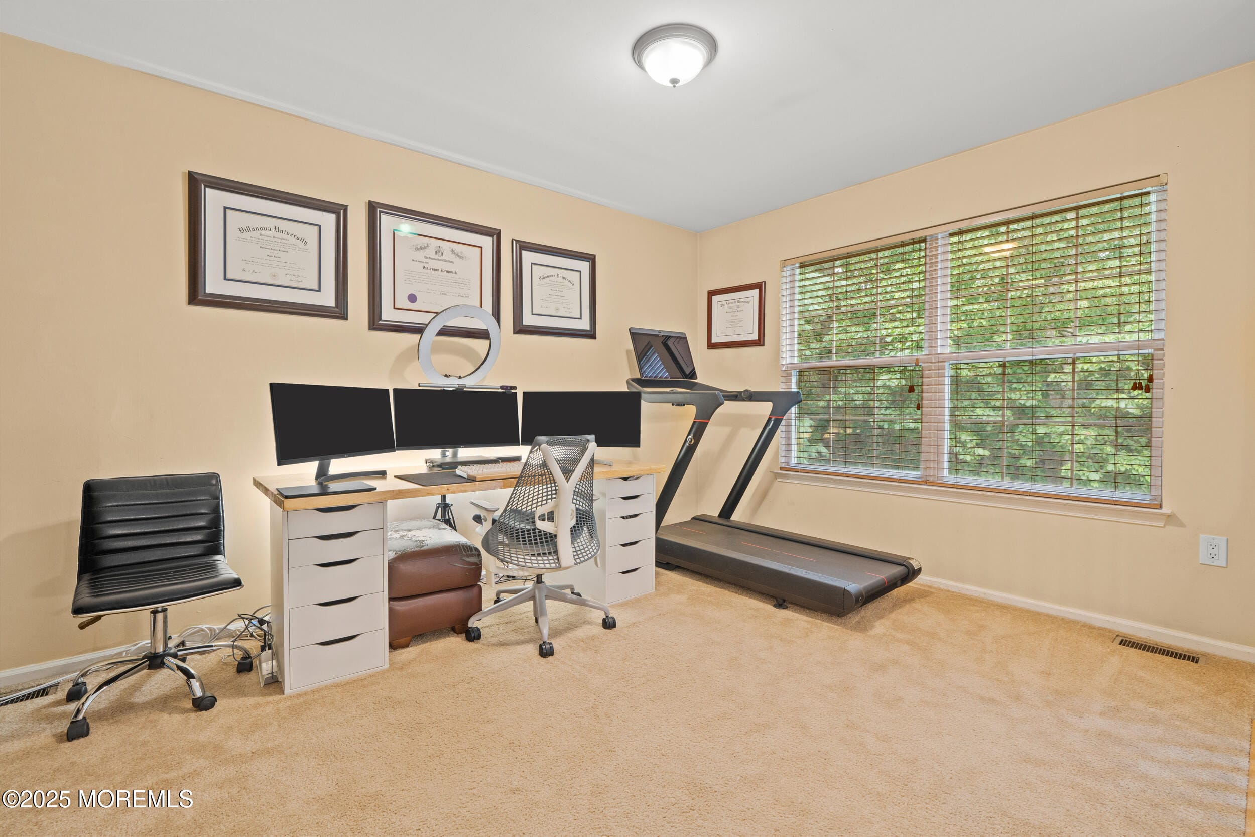 316 Daniele Drive, Ocean Twp, NJ, 07712 image 22