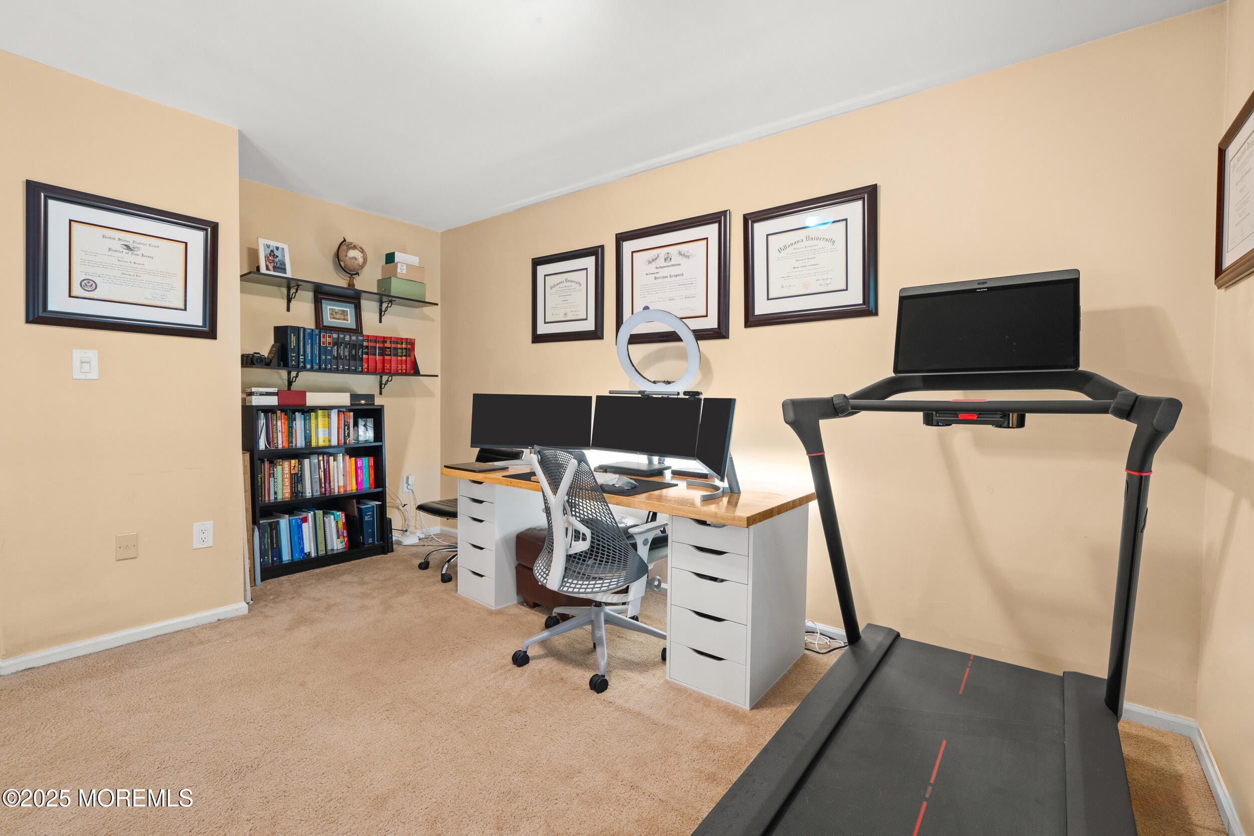 316 Daniele Drive, Ocean Twp, NJ, 07712 image 23