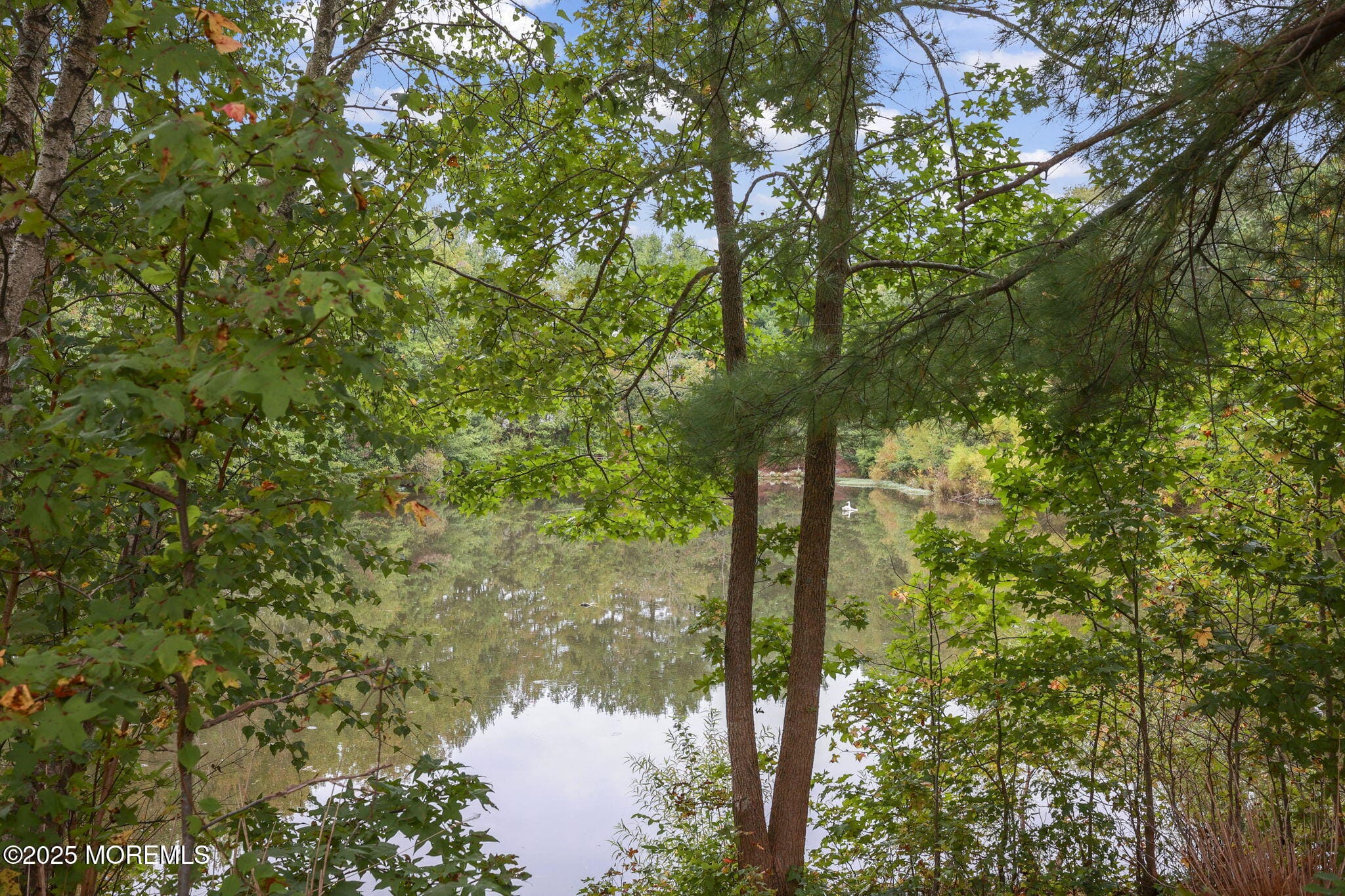 12 Alydar Court, Howell, NJ, 07731 image 19