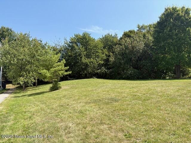 46 Bianca Court, Staten Island, NY, 10312 image 12