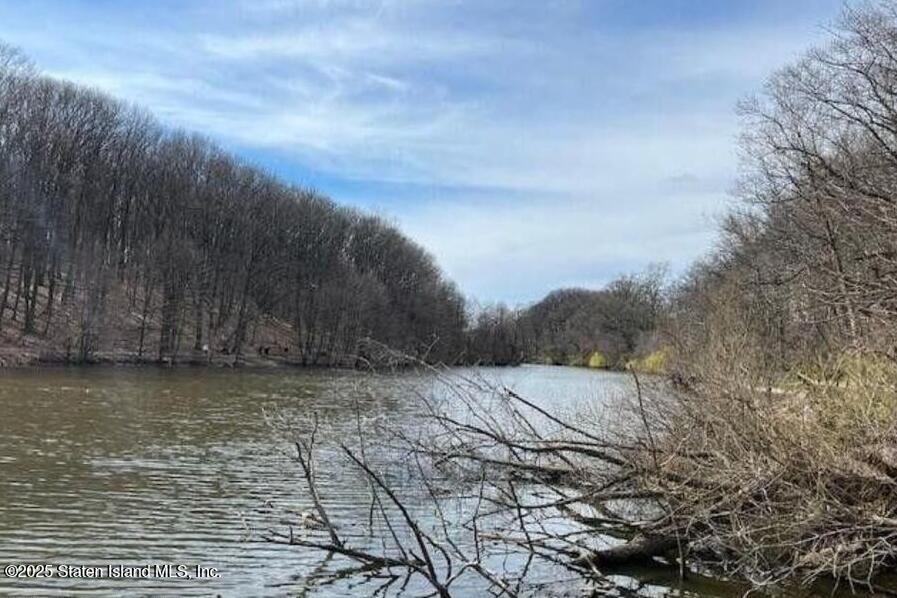 1100 Clove Road 2n, Staten Island, NY, 10301 image 23