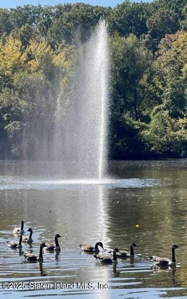 1100 Clove Road 2n, Staten Island, NY, 10301 image 27