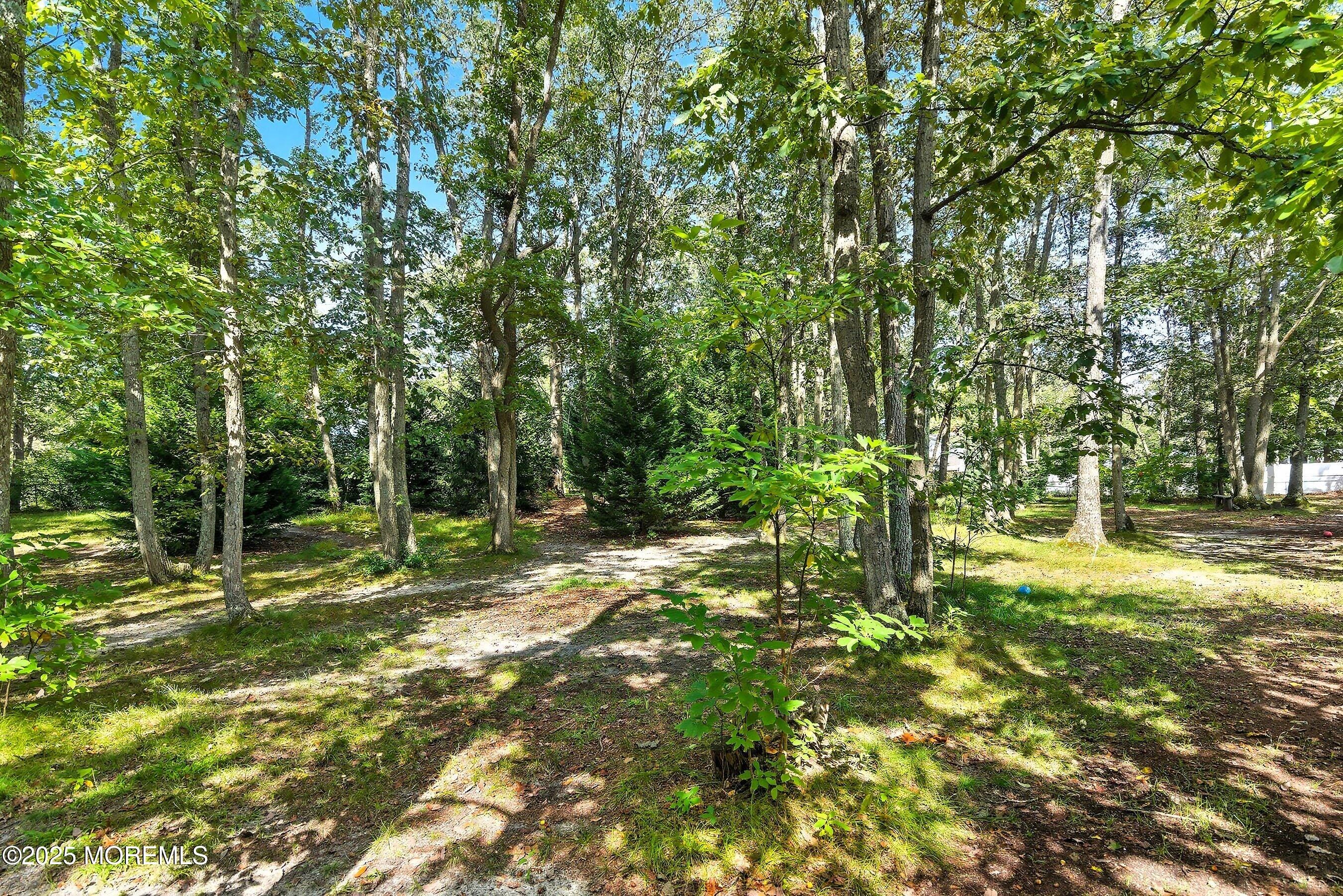 14 Elm Street, Jackson, NJ, 08527 image 35