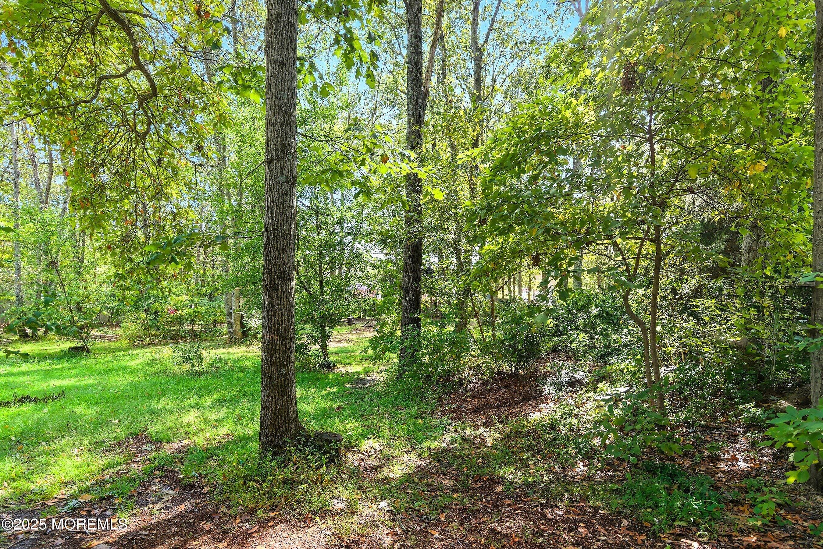 14 Elm Street, Jackson, NJ, 08527 image 34