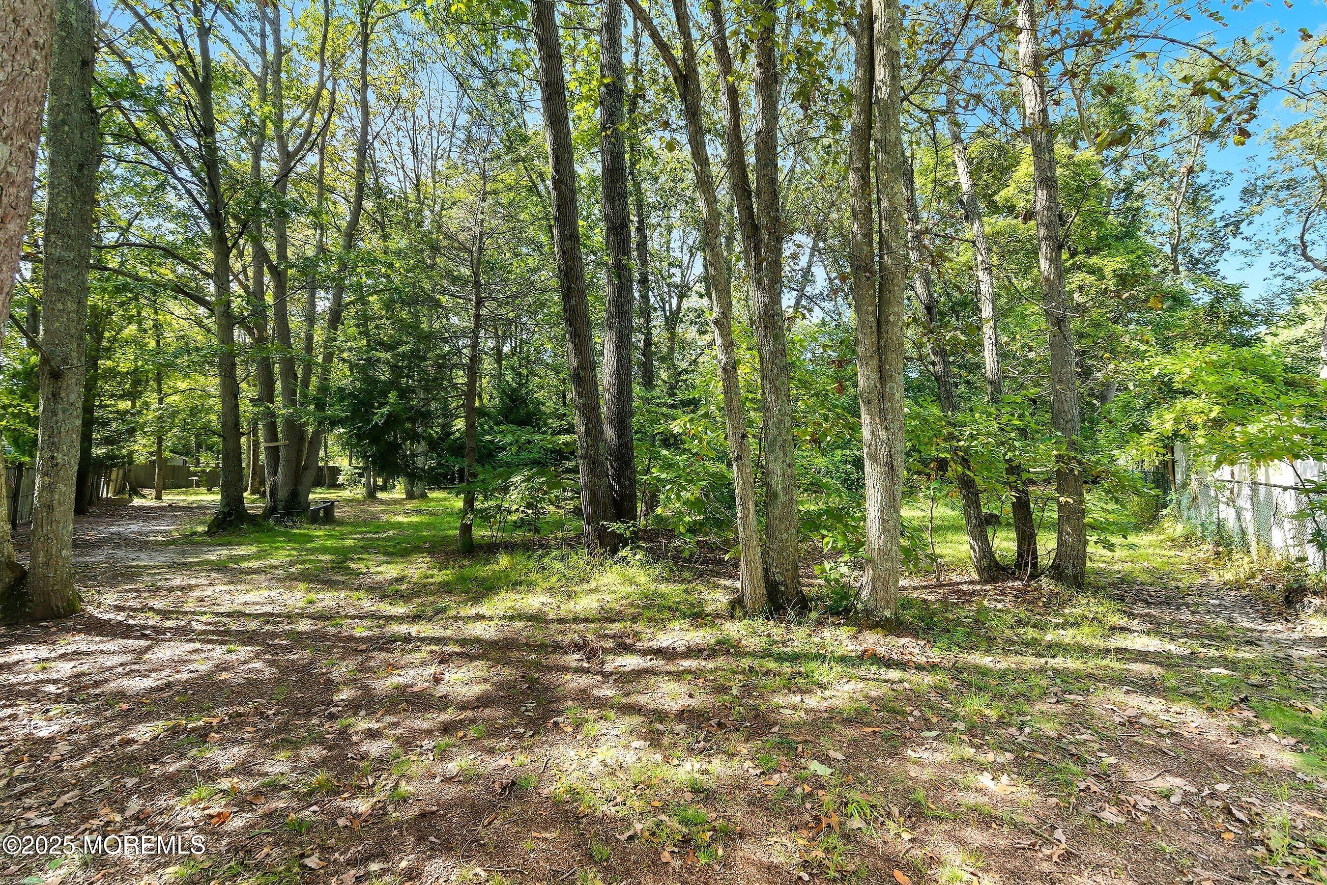 14 Elm Street, Jackson, NJ, 08527 image 33