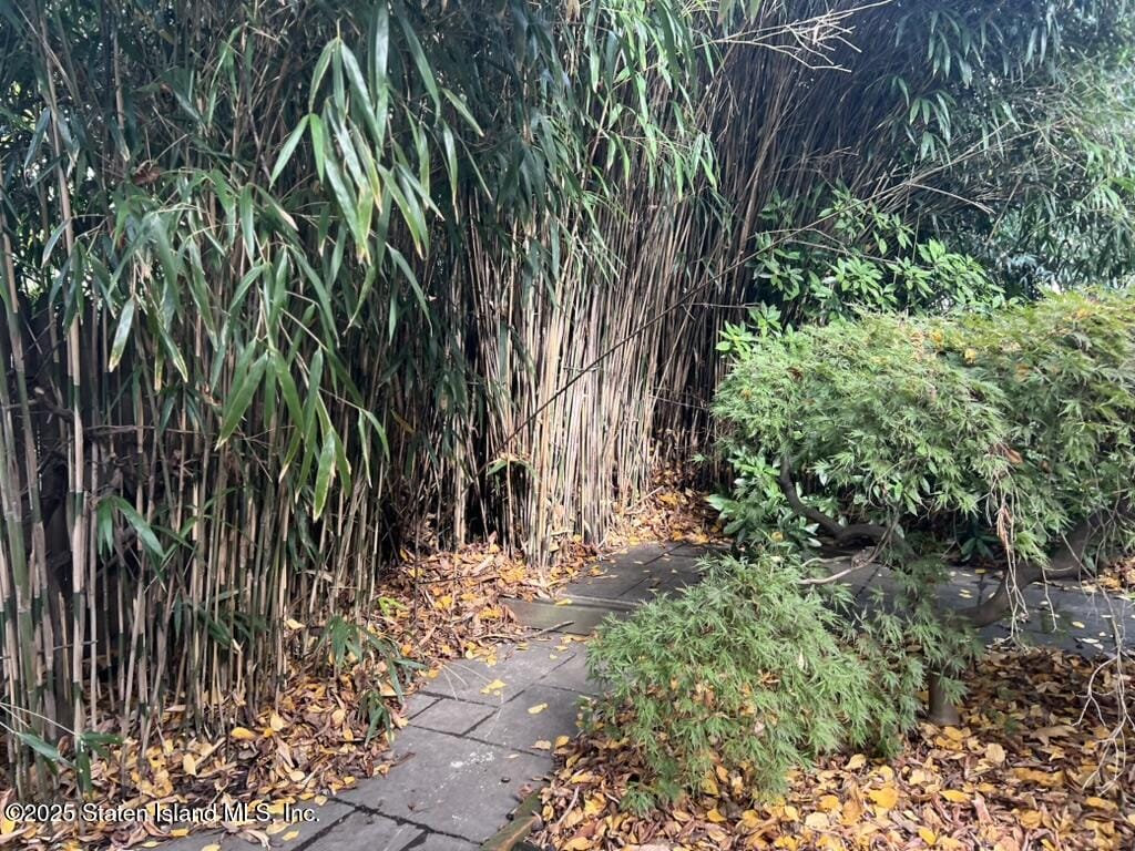 125 Tysen Street, Staten Island, NY, 10301 image 42