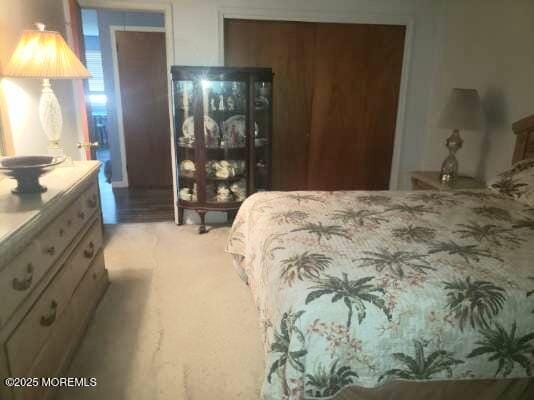 66 Breeze Court 97, Brick, NJ, 08724 image 11