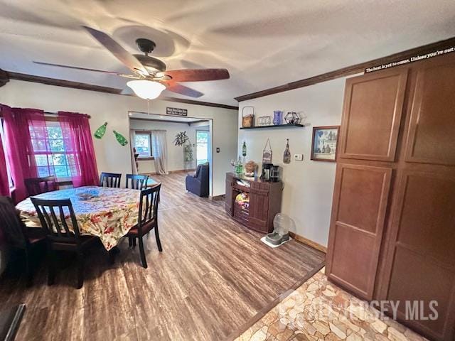 7 Avenue B, Helmetta, NJ, 08828 image 33