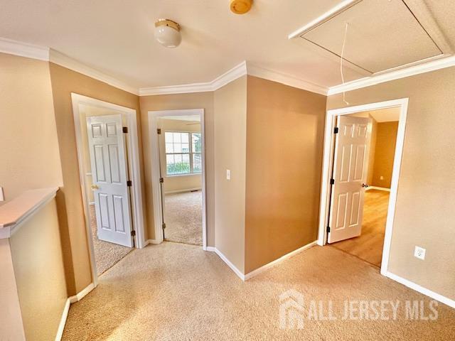 3 Mountain Laurel Road, Morganville, NJ, 07751 image 23