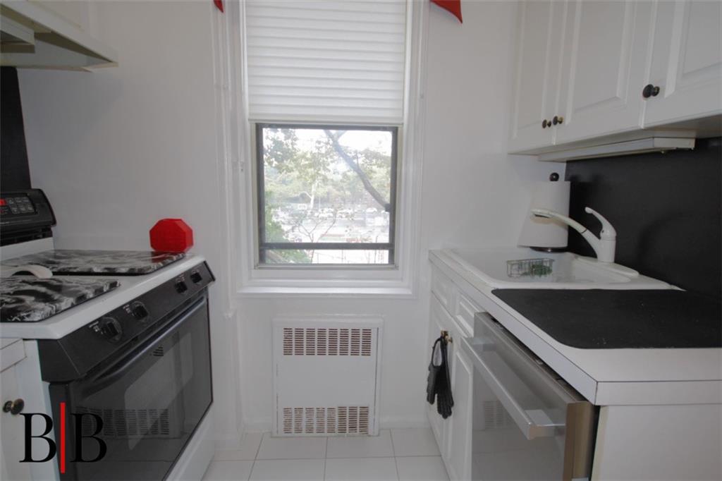 2250 Brigham Street 3C, Brooklyn, New York, 11229 image 11