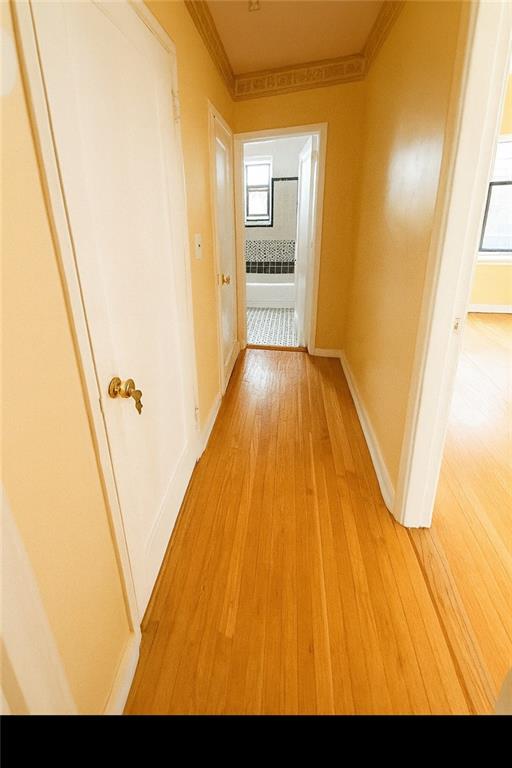 2821 Kings Highway 4M, Brooklyn, New York, 11229 image 7