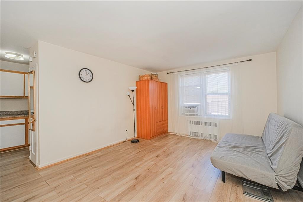 393 Avenue S 3G, Brooklyn, New York, 11234 image 7